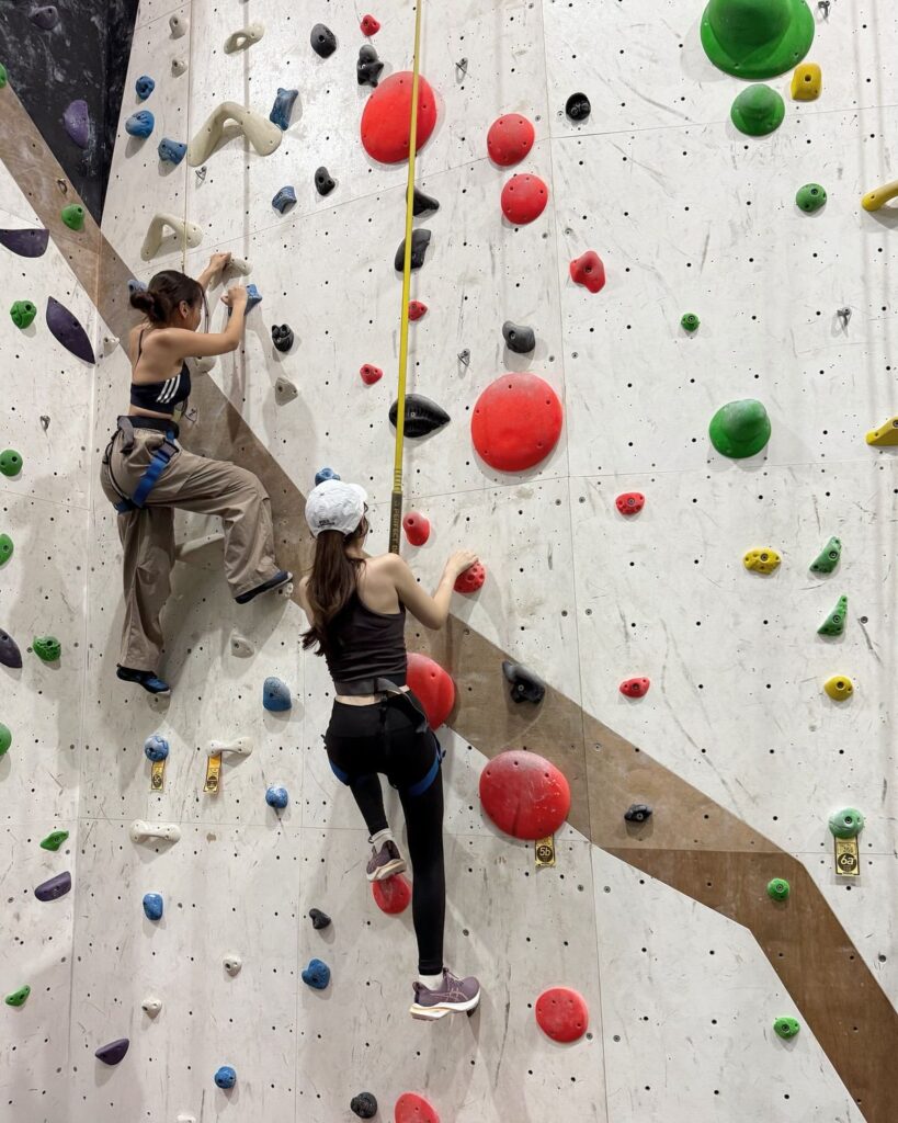 activité escalade salle 
